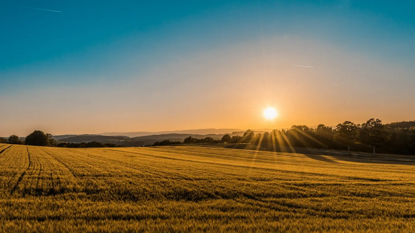 Een veld bij zonsondergang